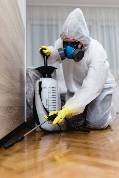 Best Fumigation Services  in Mexico Beach, FL